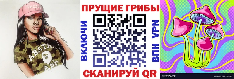 наркошоп  Куйбышев  darknet формула  Псилоцибиновые грибы Psilocybine cubensis 